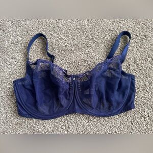 Wacoal Deep Blue Lace Bra